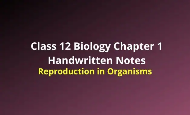 NCERT Class 12 Biology Chapter 1 Reproduction In Organisms Notes