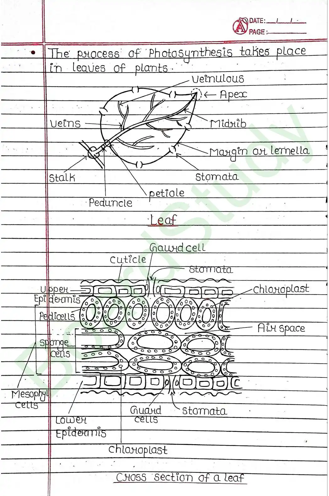 5. Life processes_page-0004