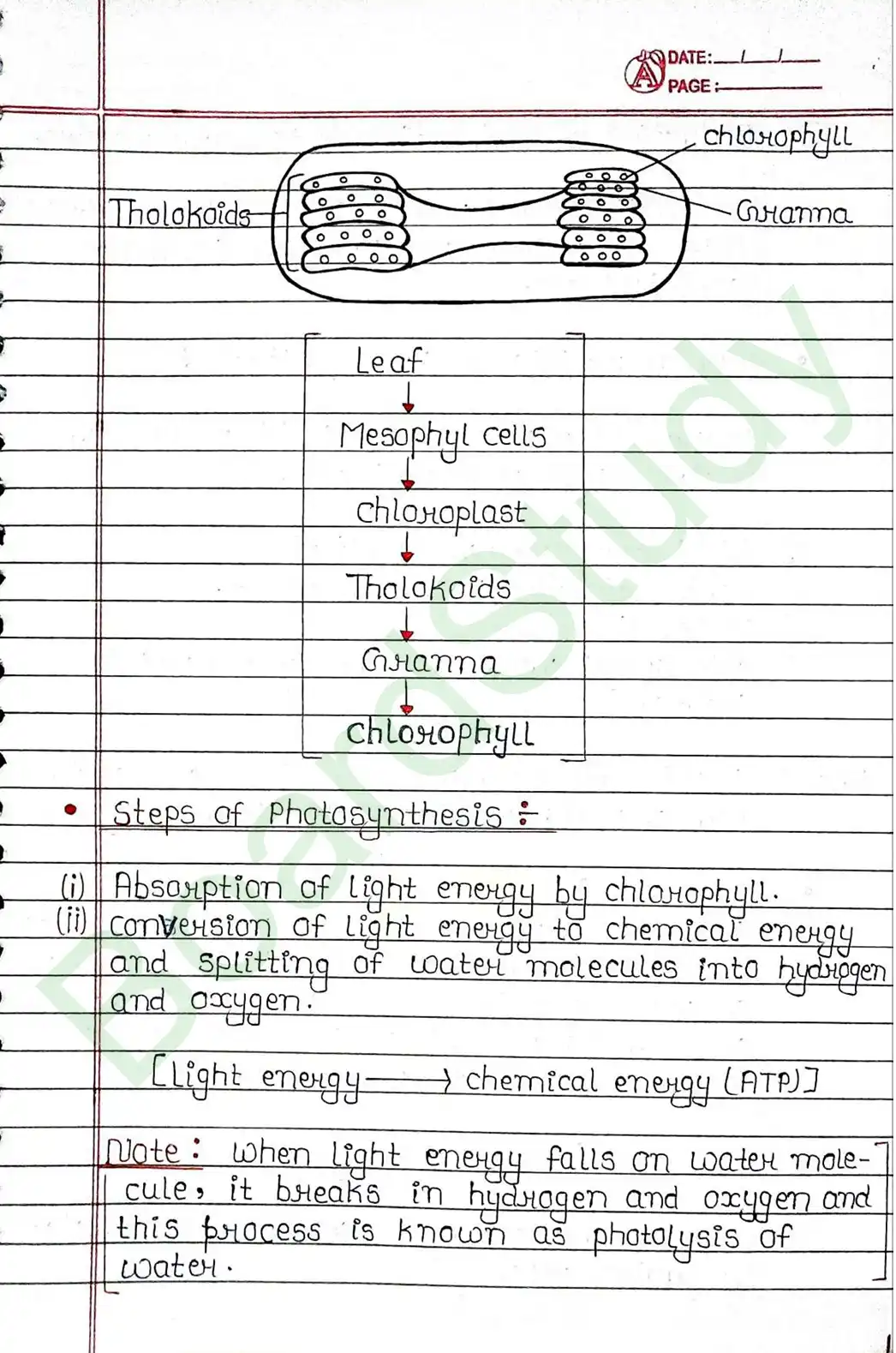 5. Life processes_page-0005