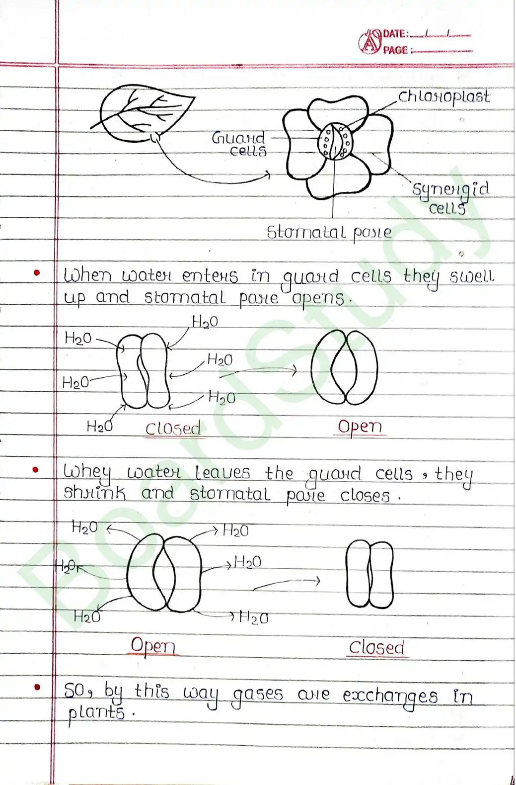 5. Life processes_page-0007
