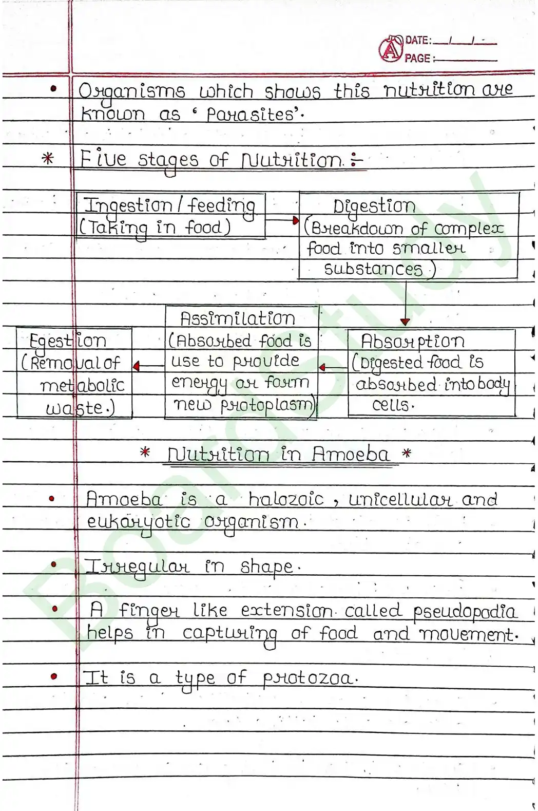5. Life processes_page-0010