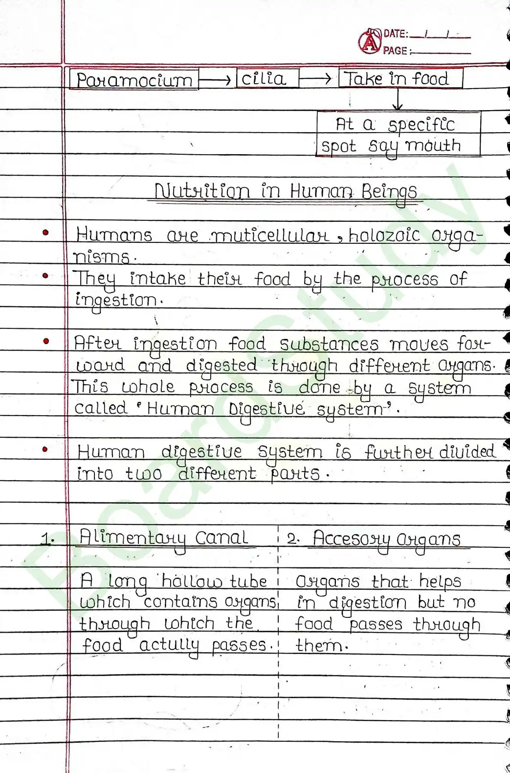 5. Life processes_page-0012