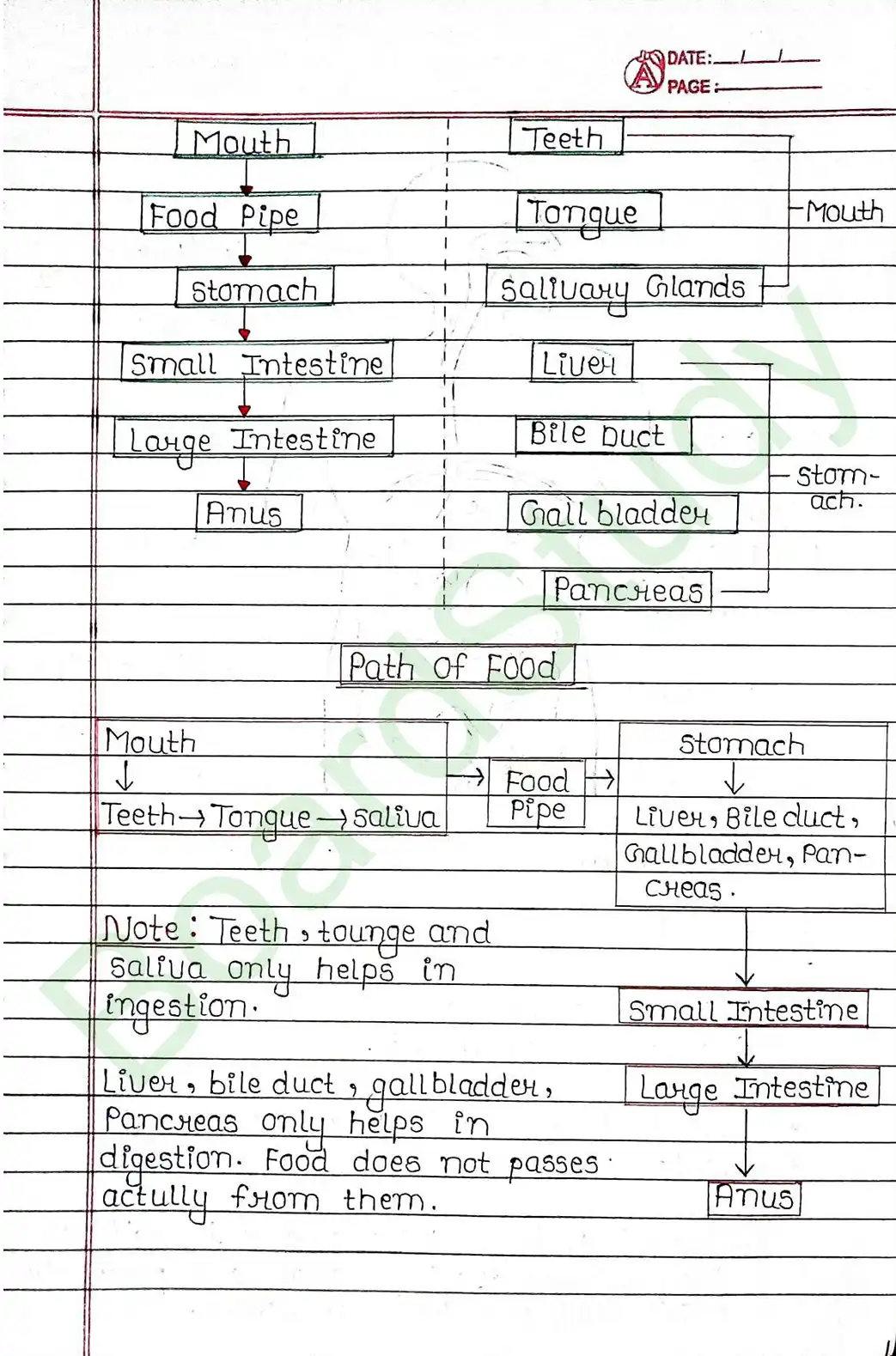 5. Life processes_page-0013