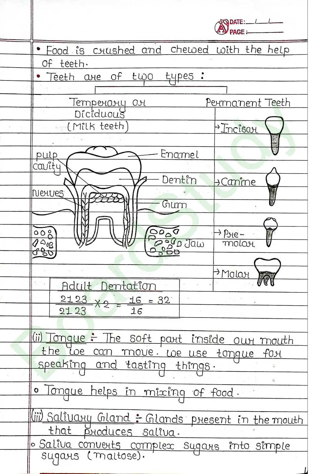 5. Life processes_page-0015