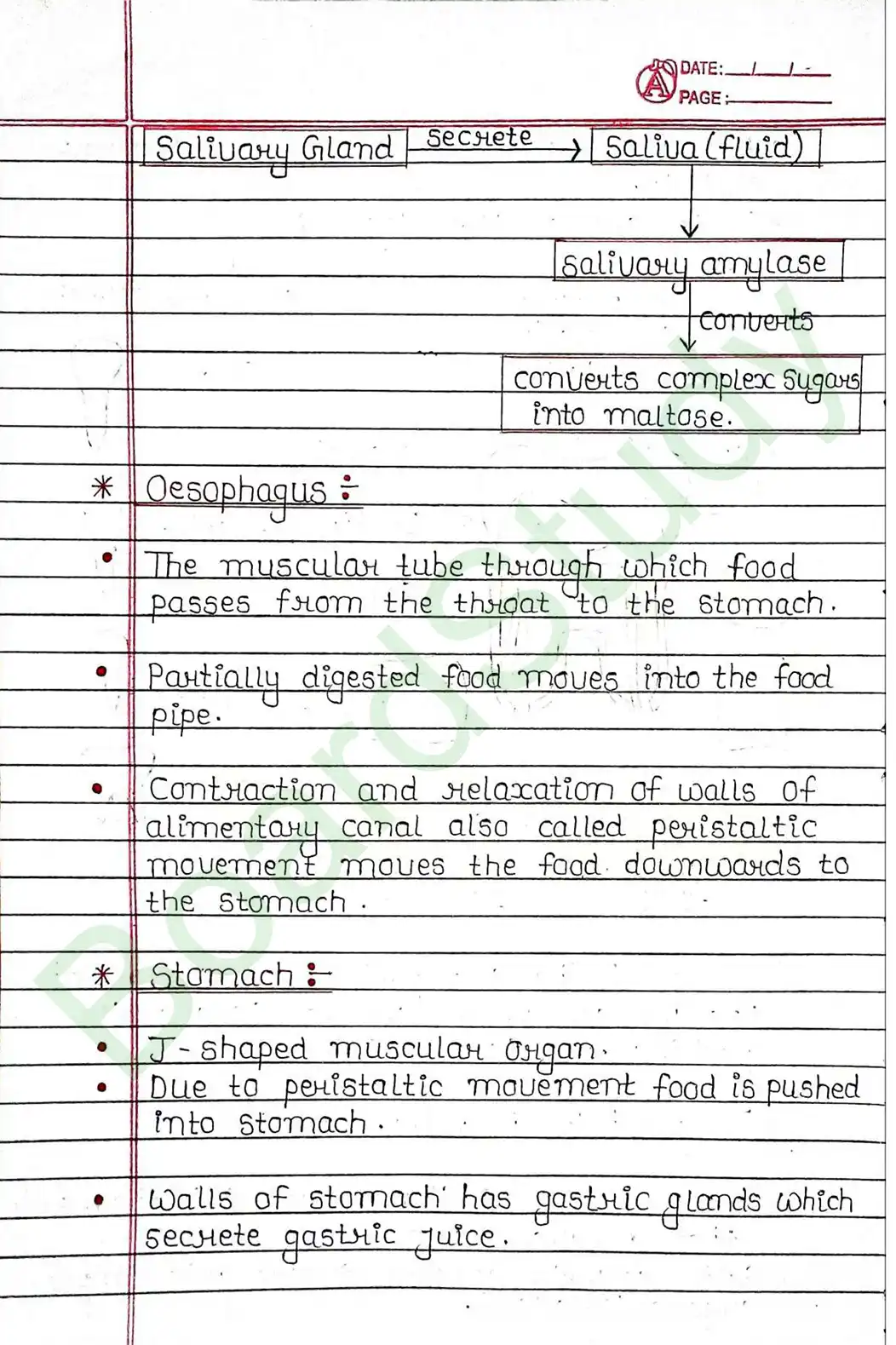 5. Life processes_page-0016