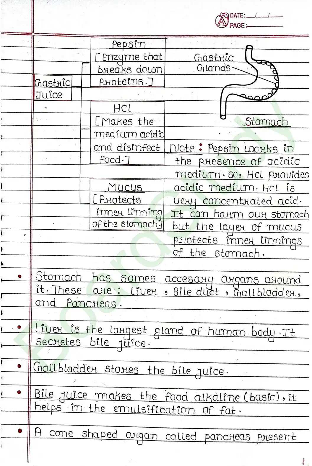 5. Life processes_page-0017