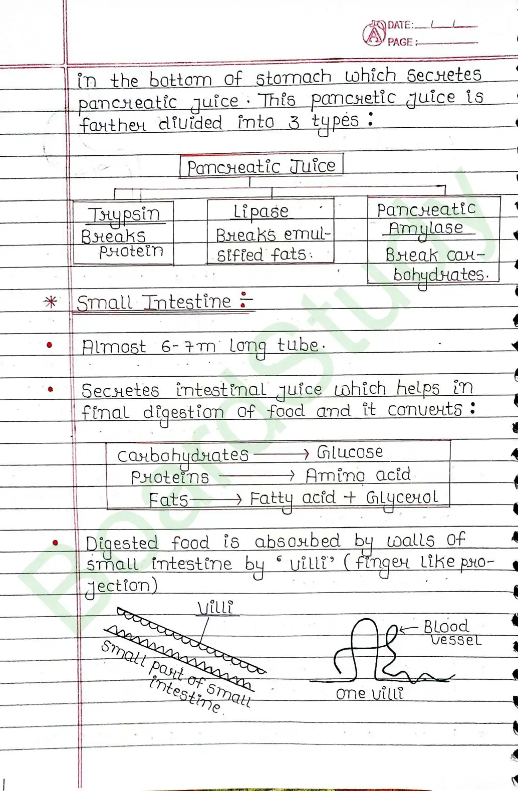 5. Life processes_page-0018