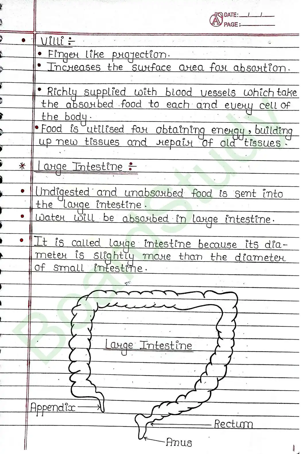 5. Life processes_page-0019