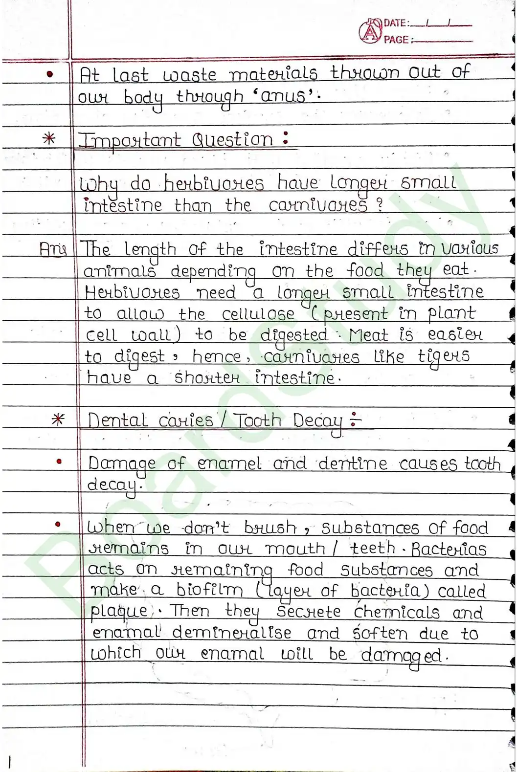 5. Life processes_page-0020