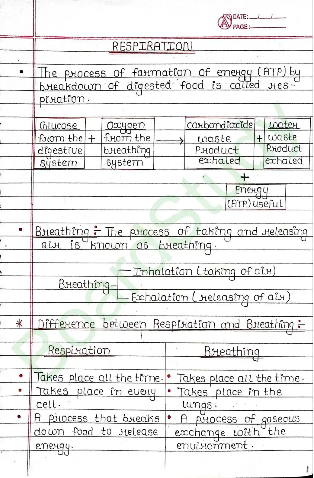 5. Life processes_page-0021