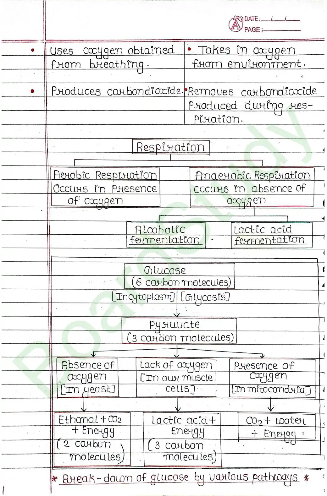 5. Life processes_page-0022