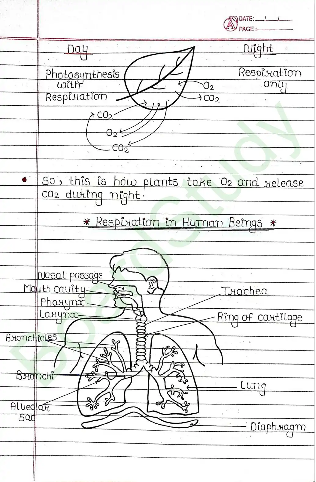 5. Life processes_page-0027