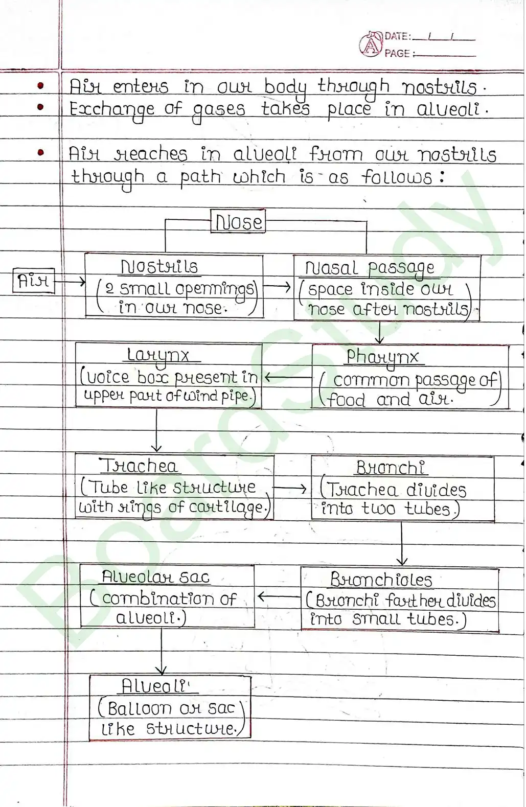 5. Life processes_page-0028