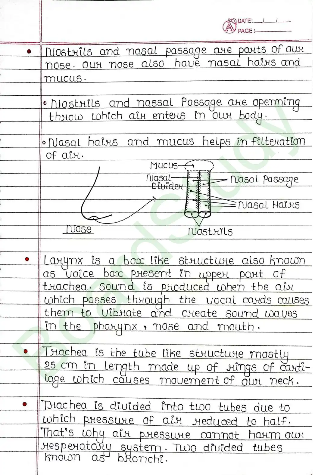 5. Life processes_page-0029