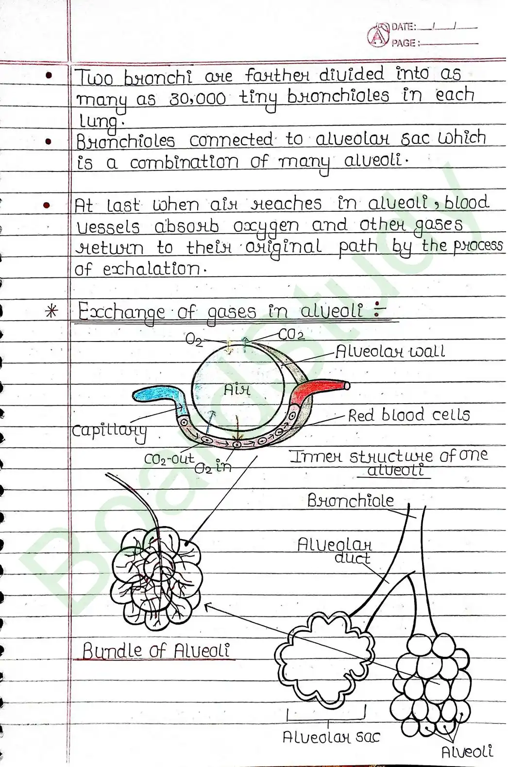 5. Life processes_page-0030