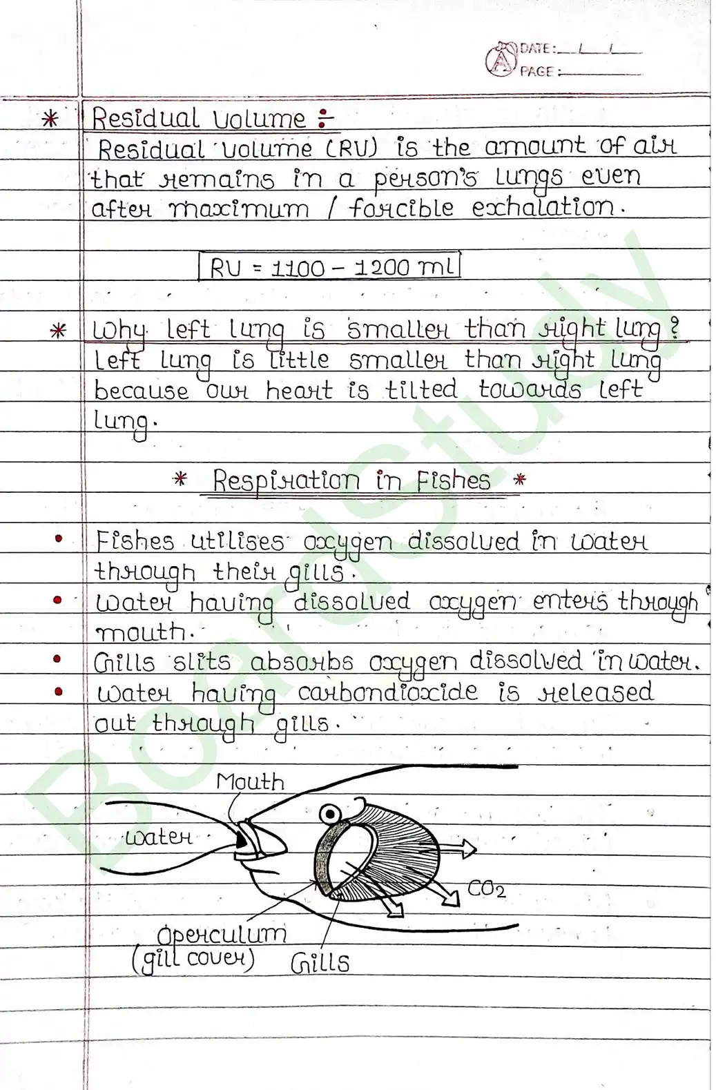 5. Life processes_page-0033