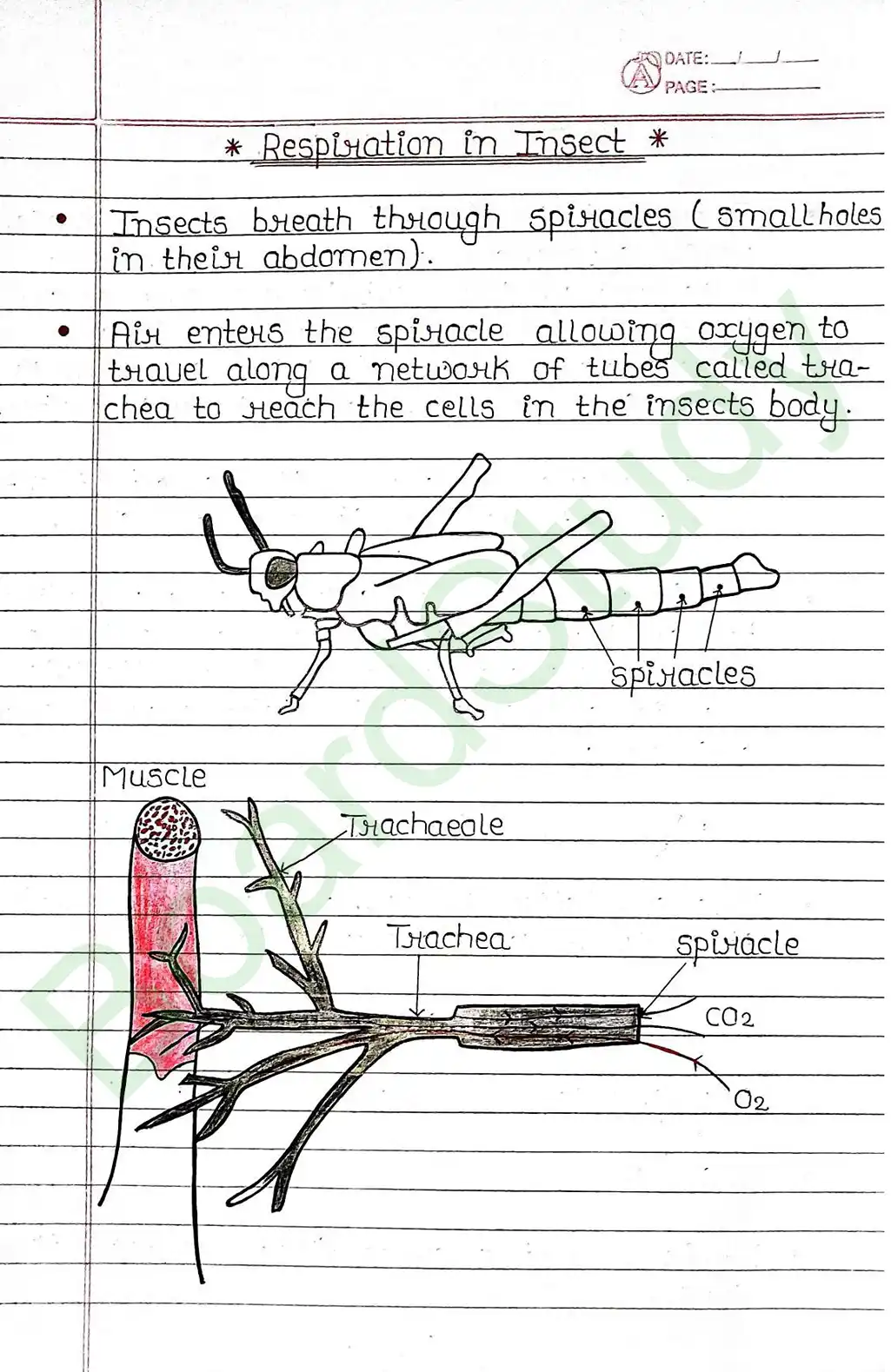 5. Life processes_page-0034