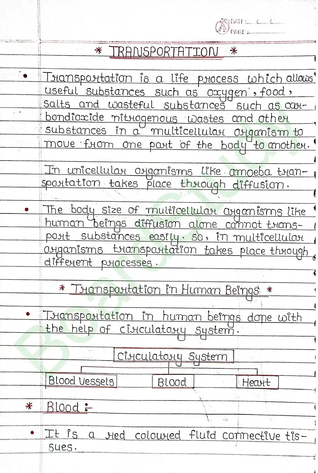 5. Life processes_page-0035