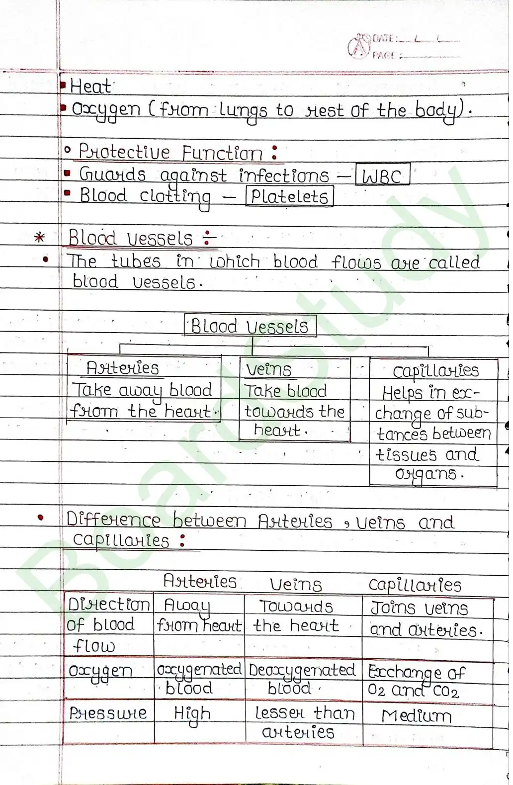 5. Life processes_page-0037