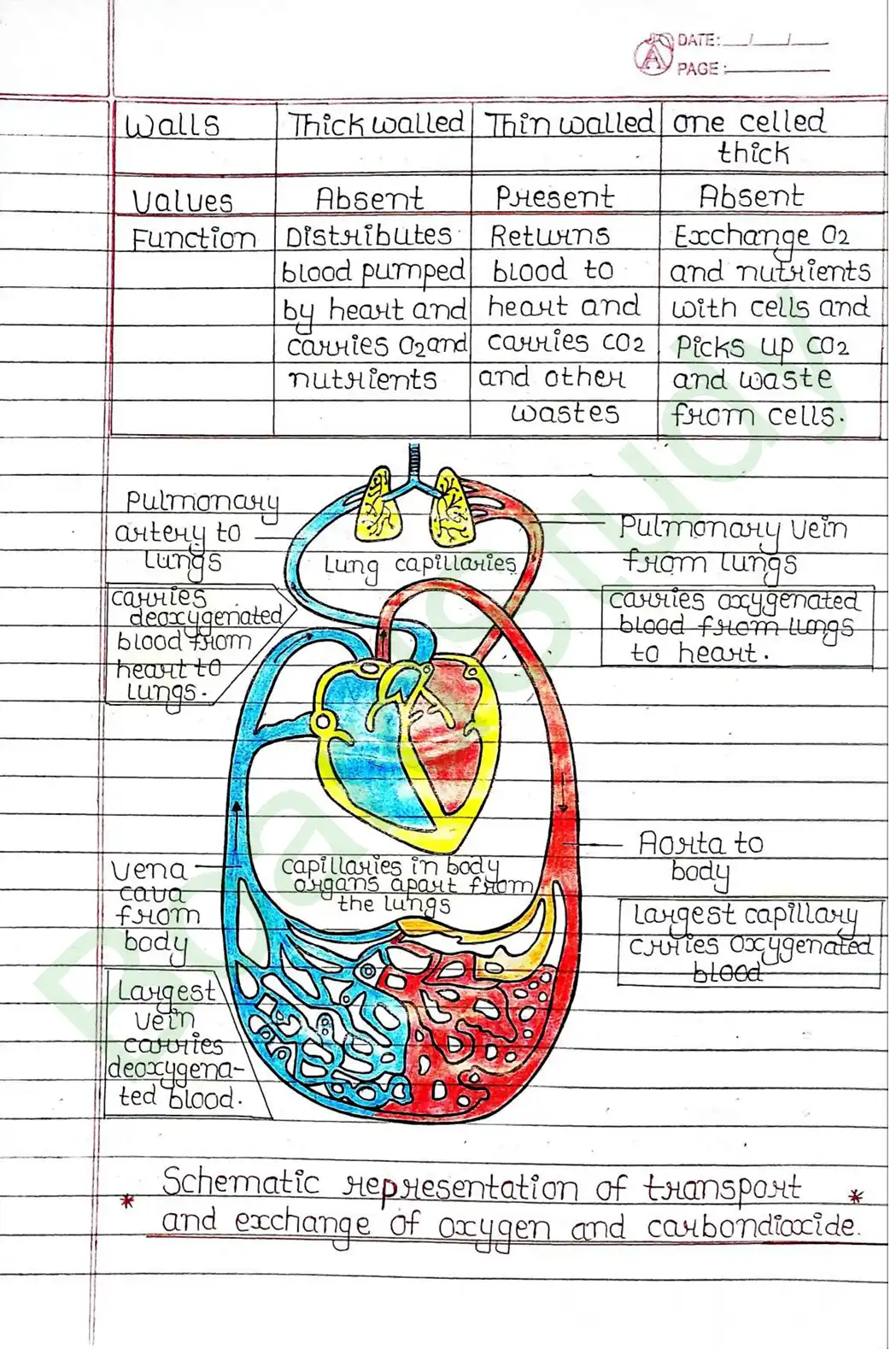 5. Life processes_page-0038