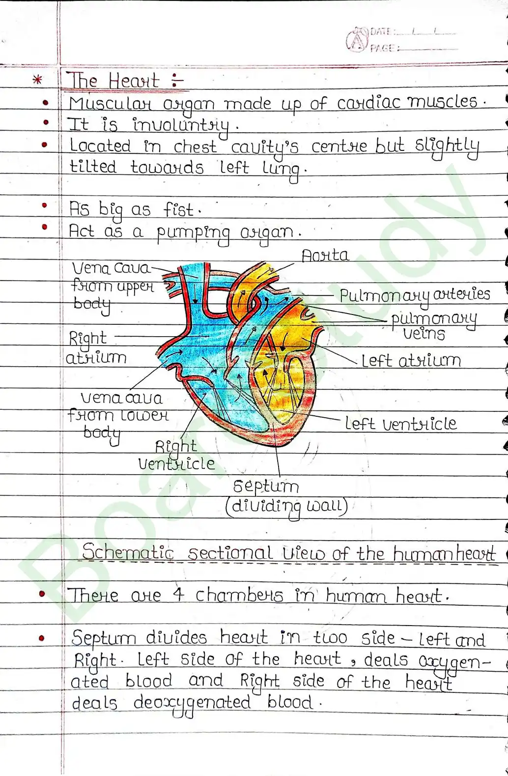 5. Life processes_page-0039