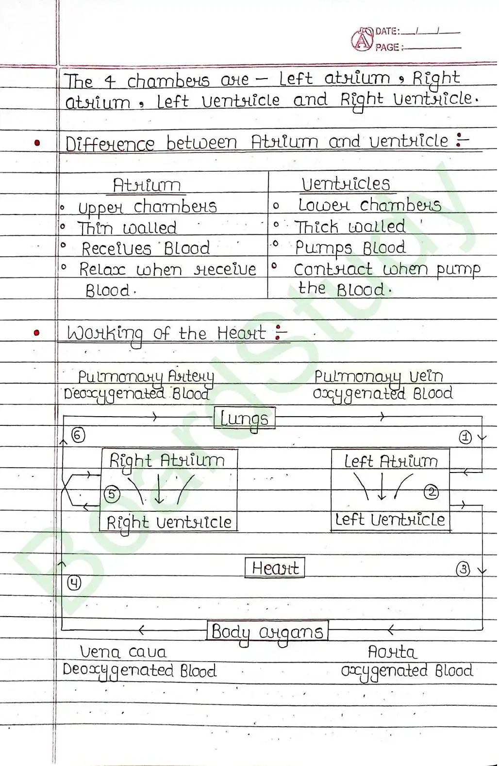 5. Life processes_page-0040