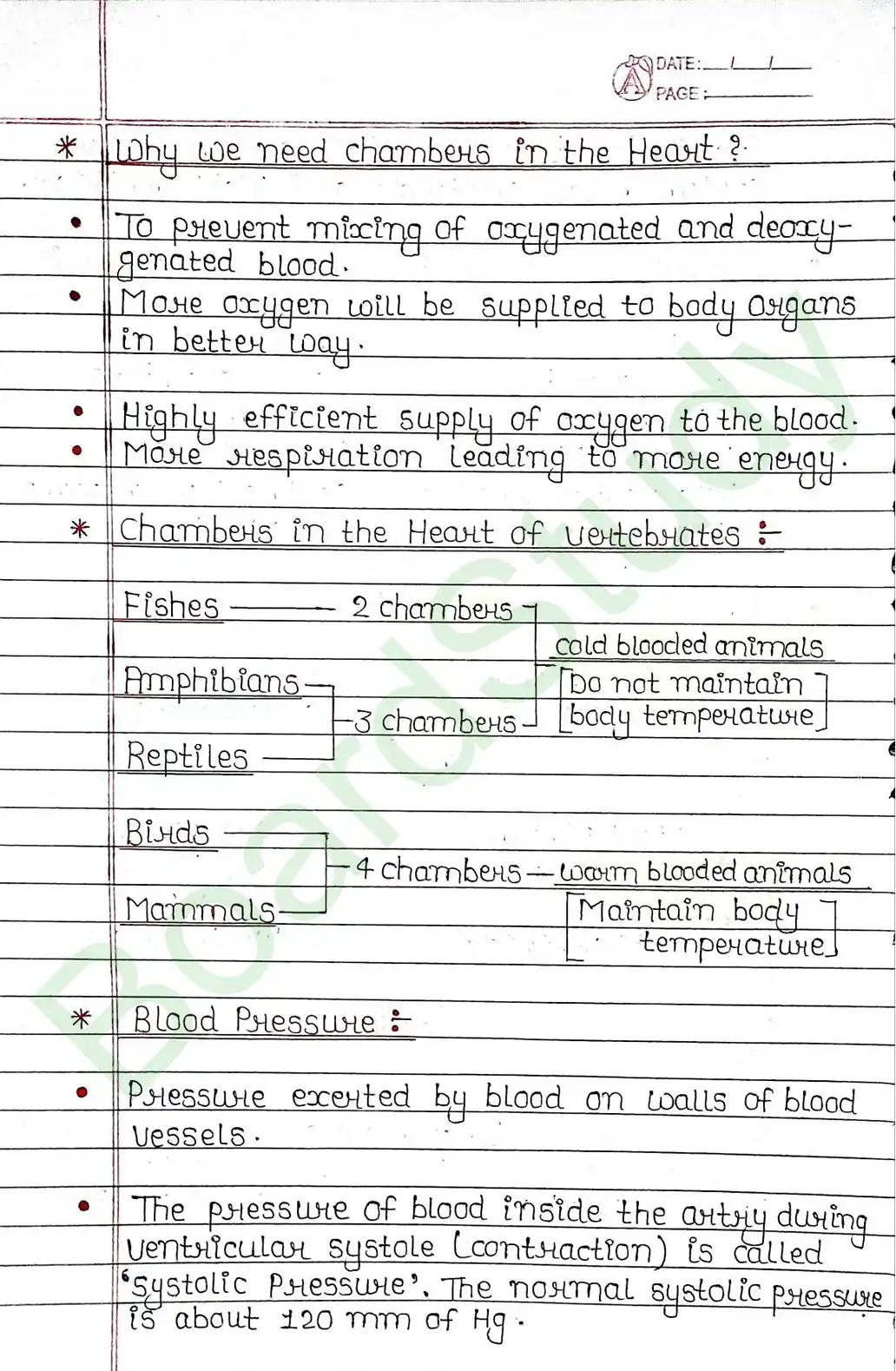 5. Life processes_page-0041