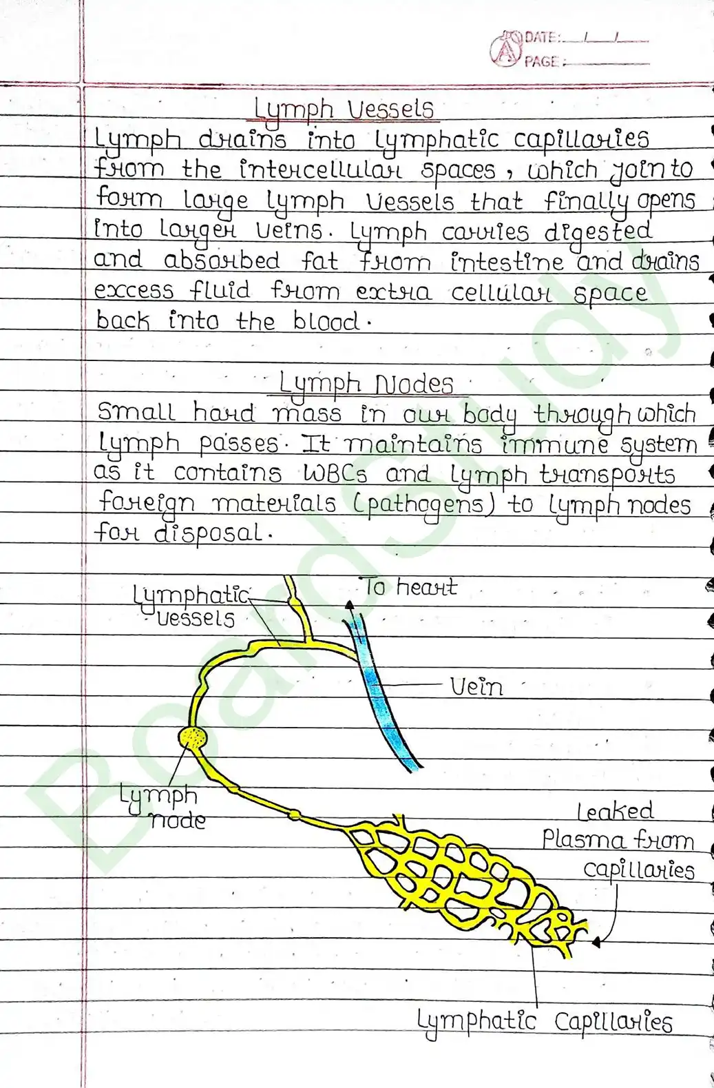 5. Life processes_page-0043