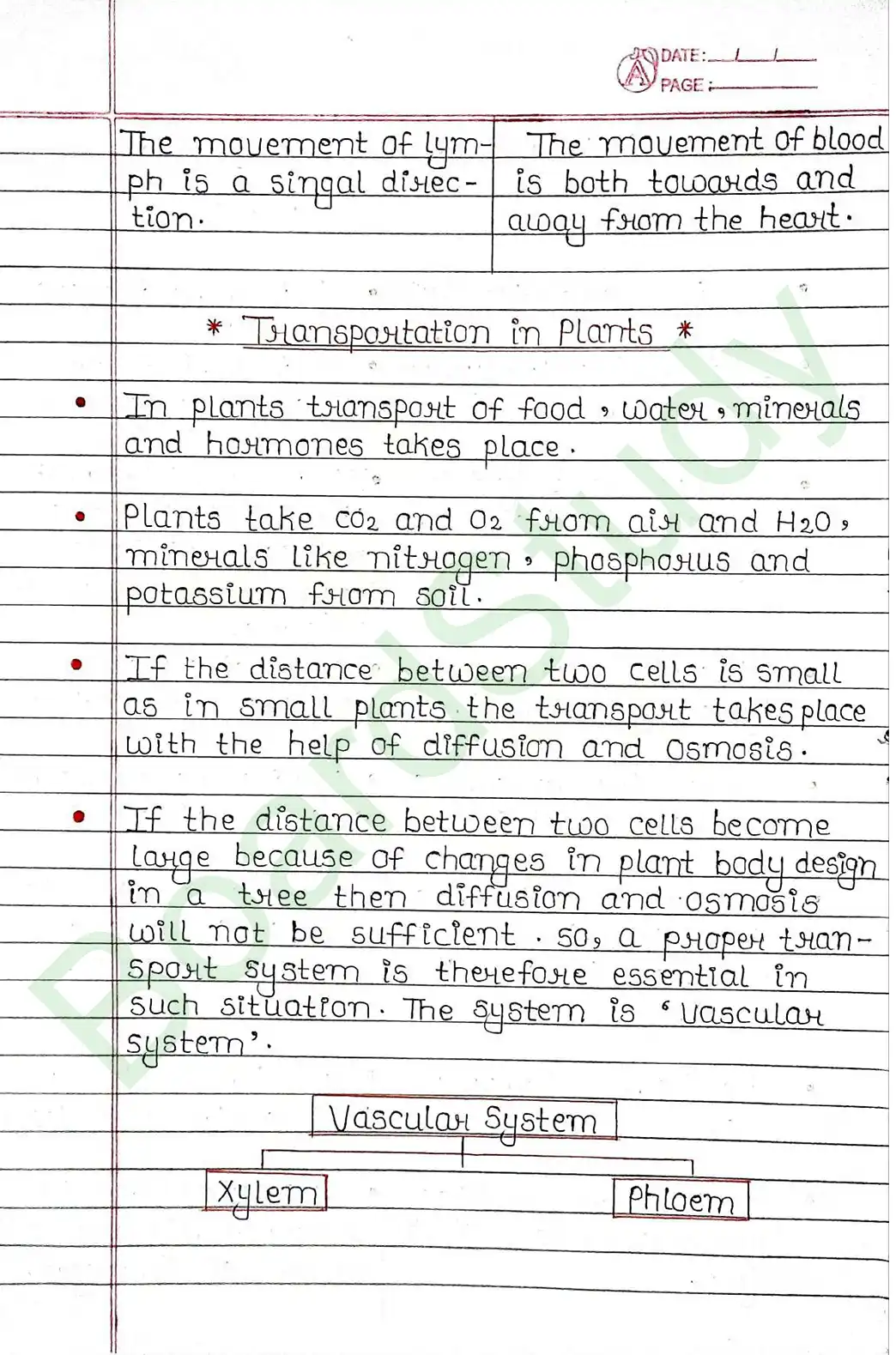 5. Life processes_page-0045