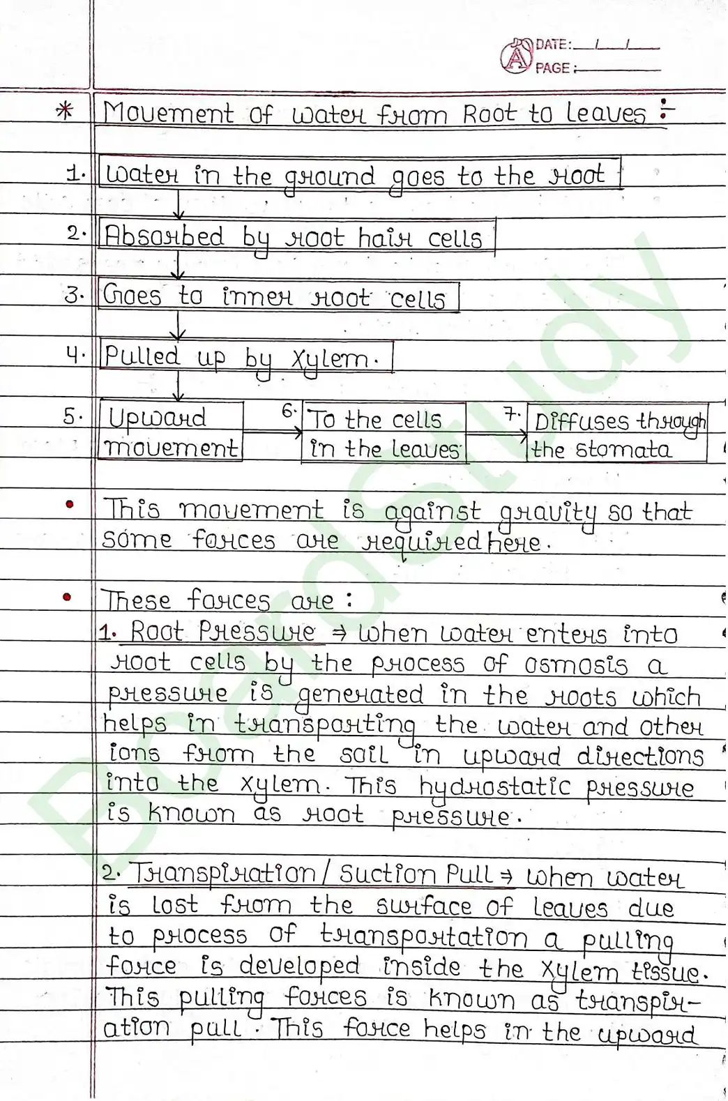 5. Life processes_page-0047