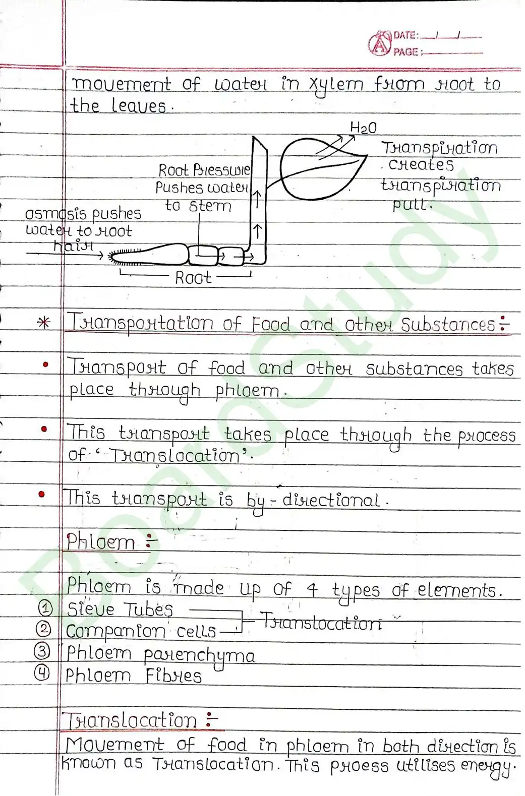5. Life processes_page-0048