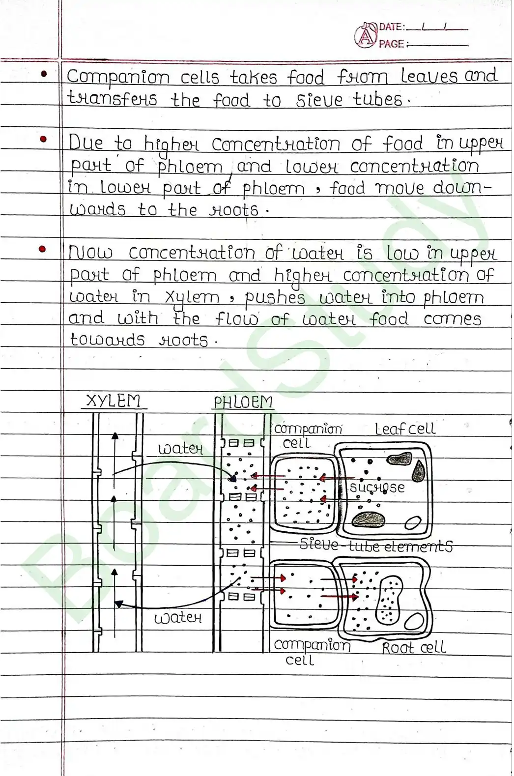 5. Life processes_page-0049