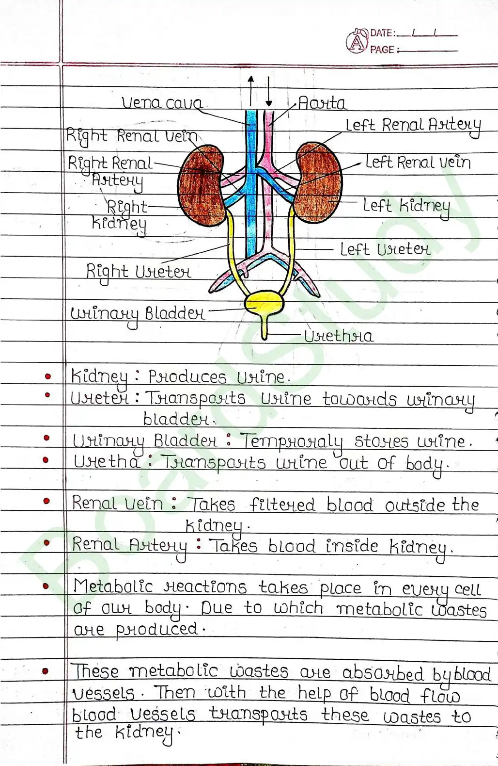 5. Life processes_page-0051