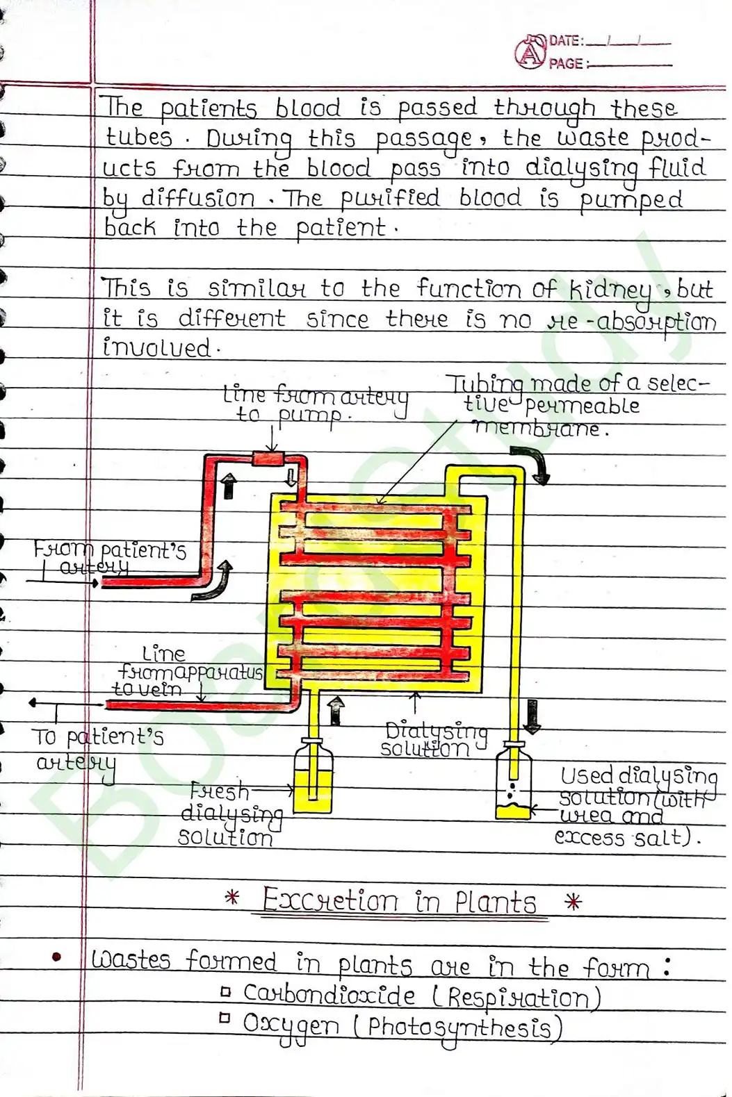 5. Life processes_page-0056
