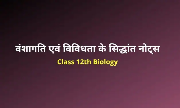 Class 12 biology chapter 5 notes in hindi (2)