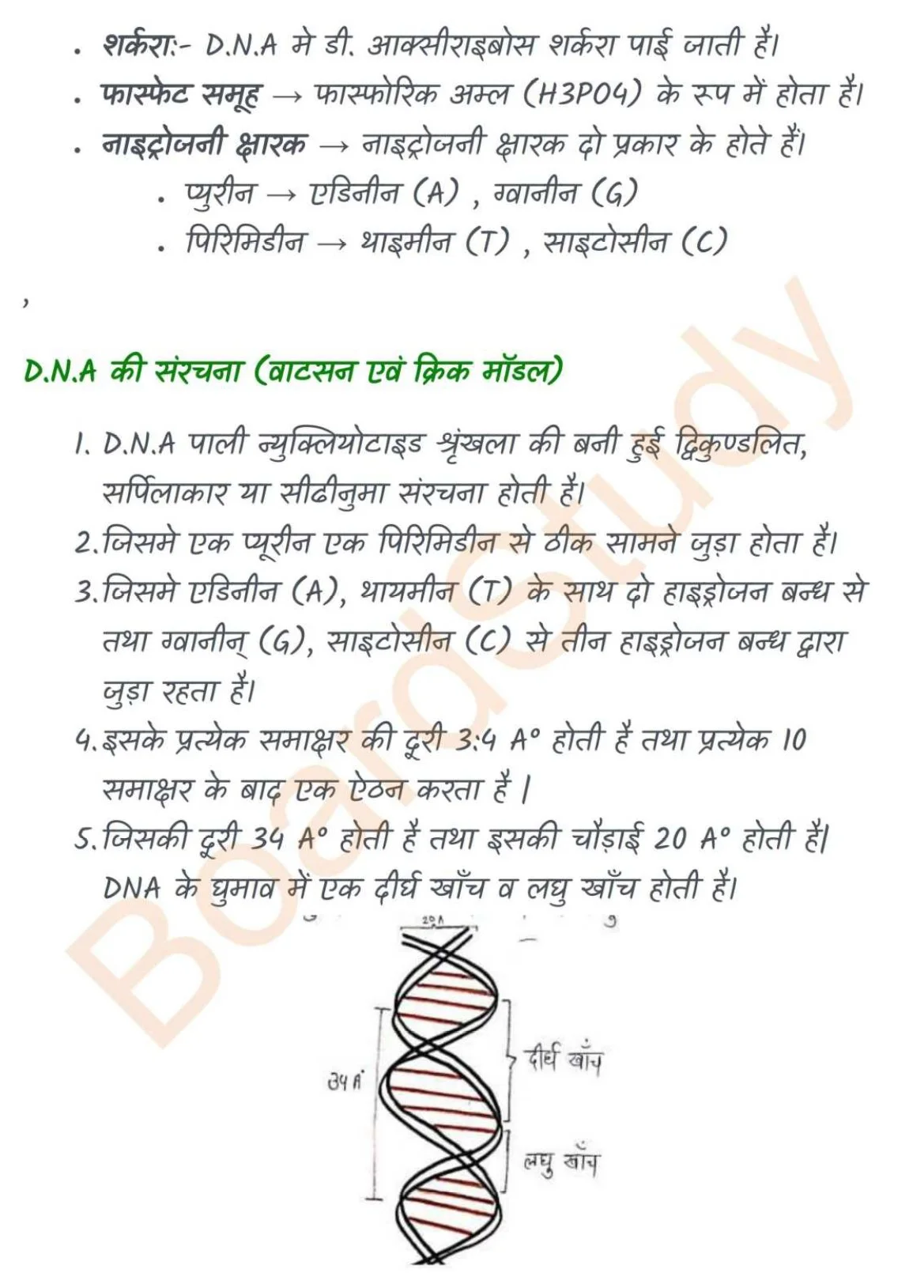 Molecular Basis of Inheritance notes in hindi_page-0003