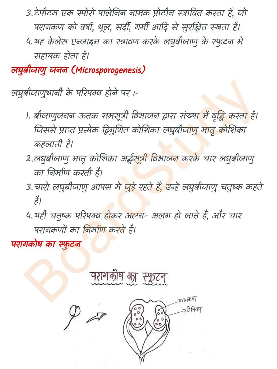 Sexual Reproduction in Flowering Plants notes in hindi_page-0005