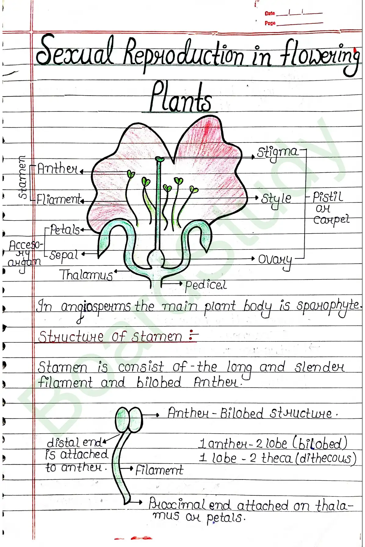 1. Sexual reproduction in flowering plants-13_page-0001