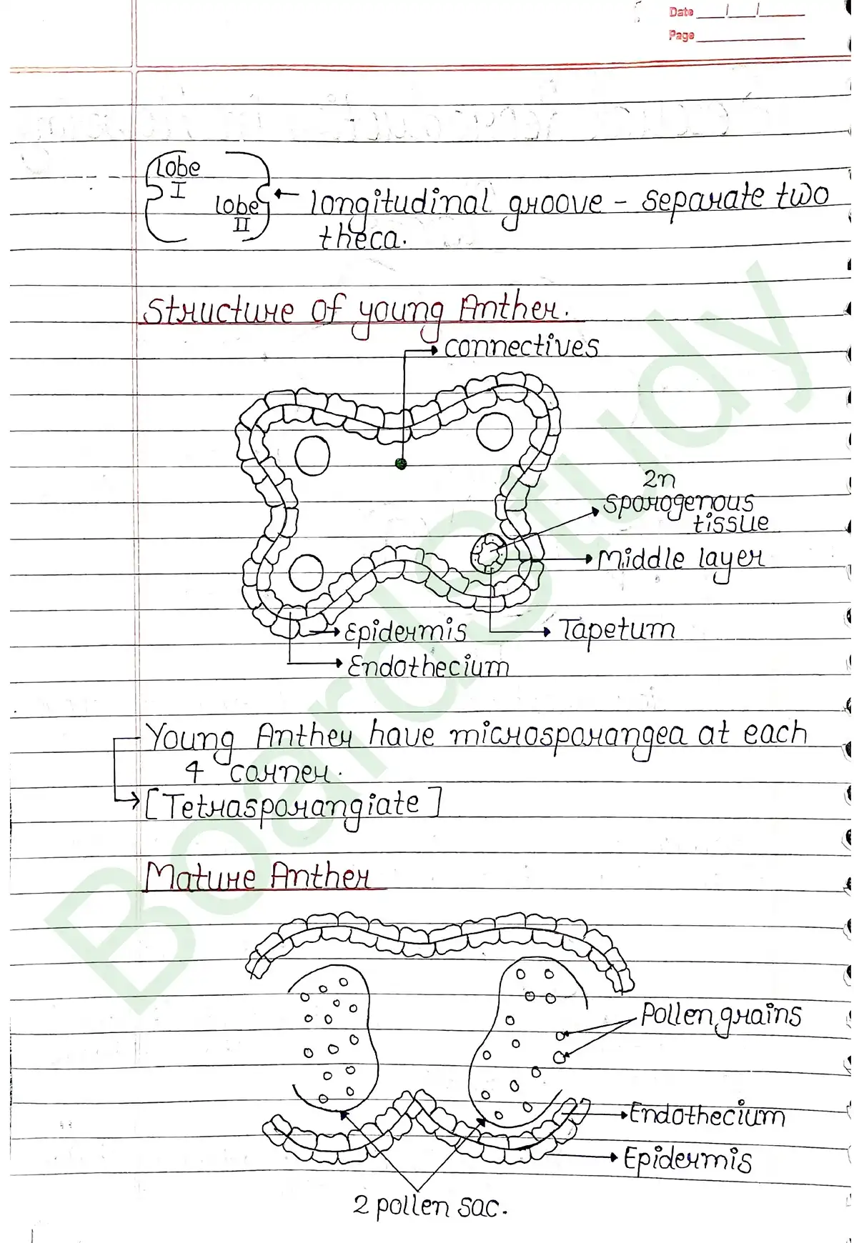 1. Sexual reproduction in flowering plants-13_page-0002