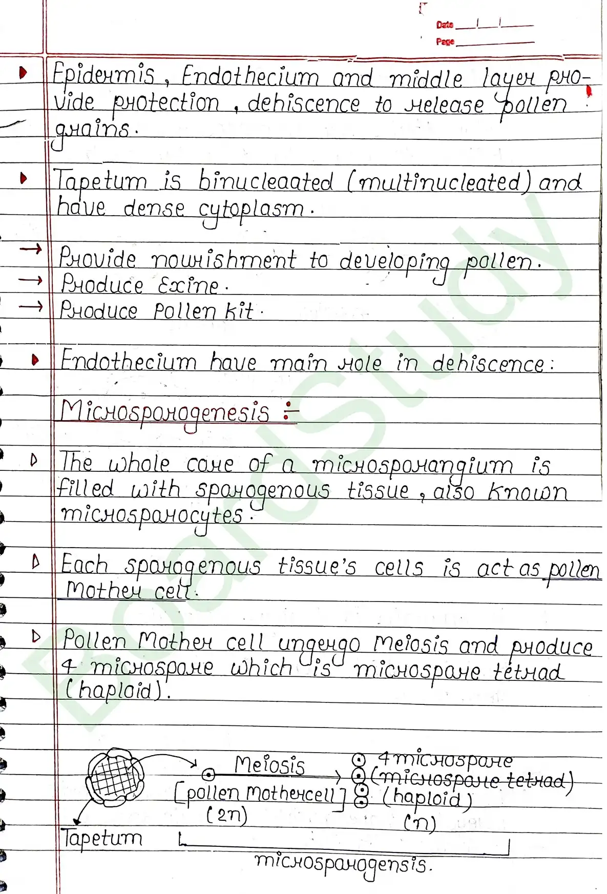 1. Sexual reproduction in flowering plants-13_page-0003