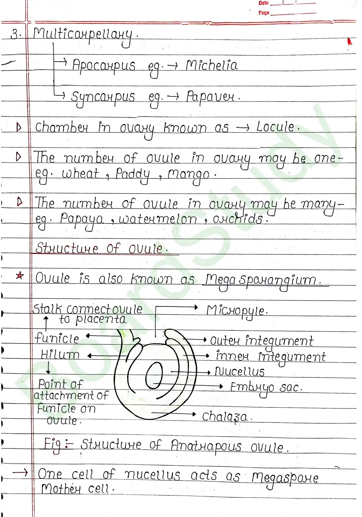 1. Sexual reproduction in flowering plants-13_page-0007