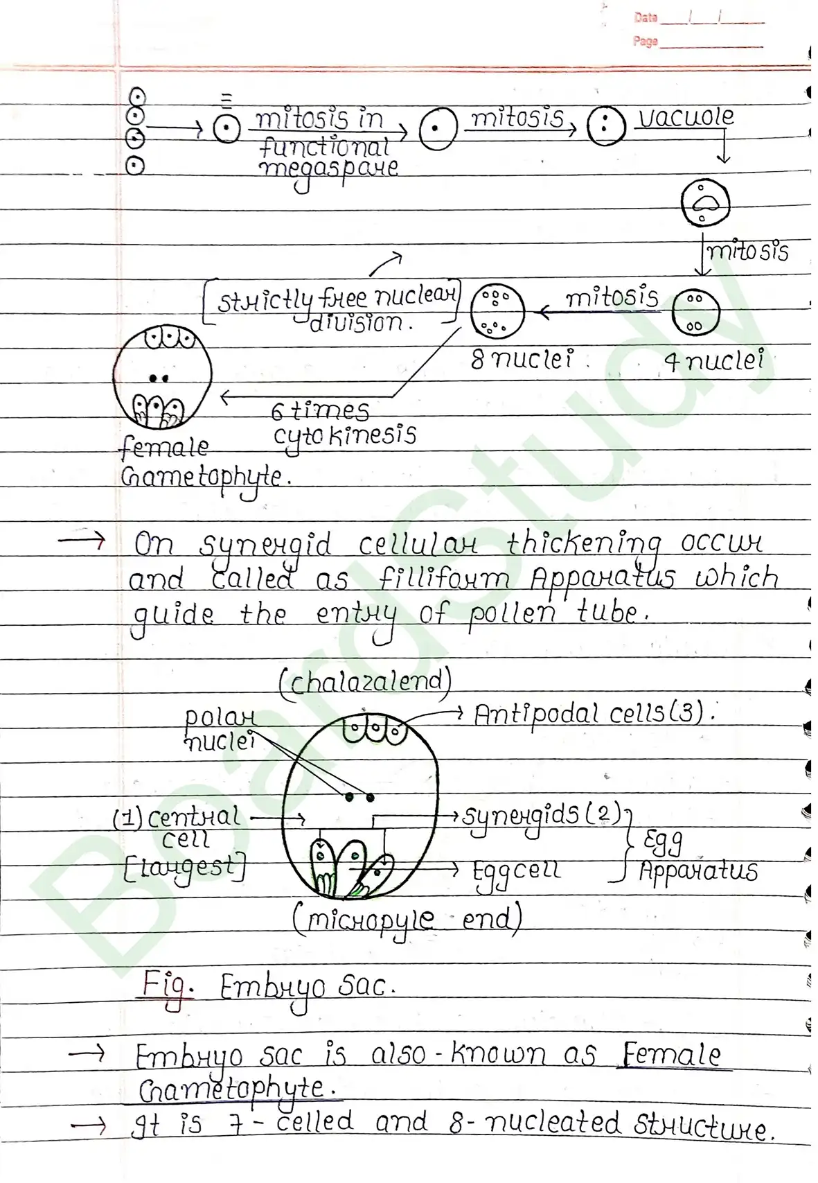 1. Sexual reproduction in flowering plants-13_page-0008
