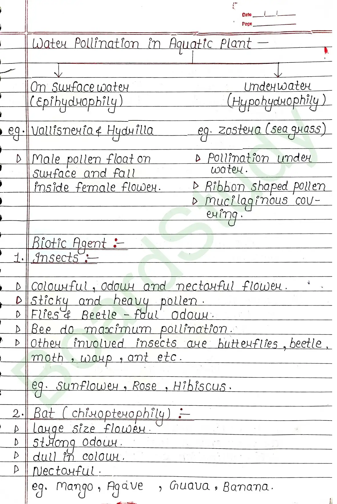 1. Sexual reproduction in flowering plants-13_page-0013