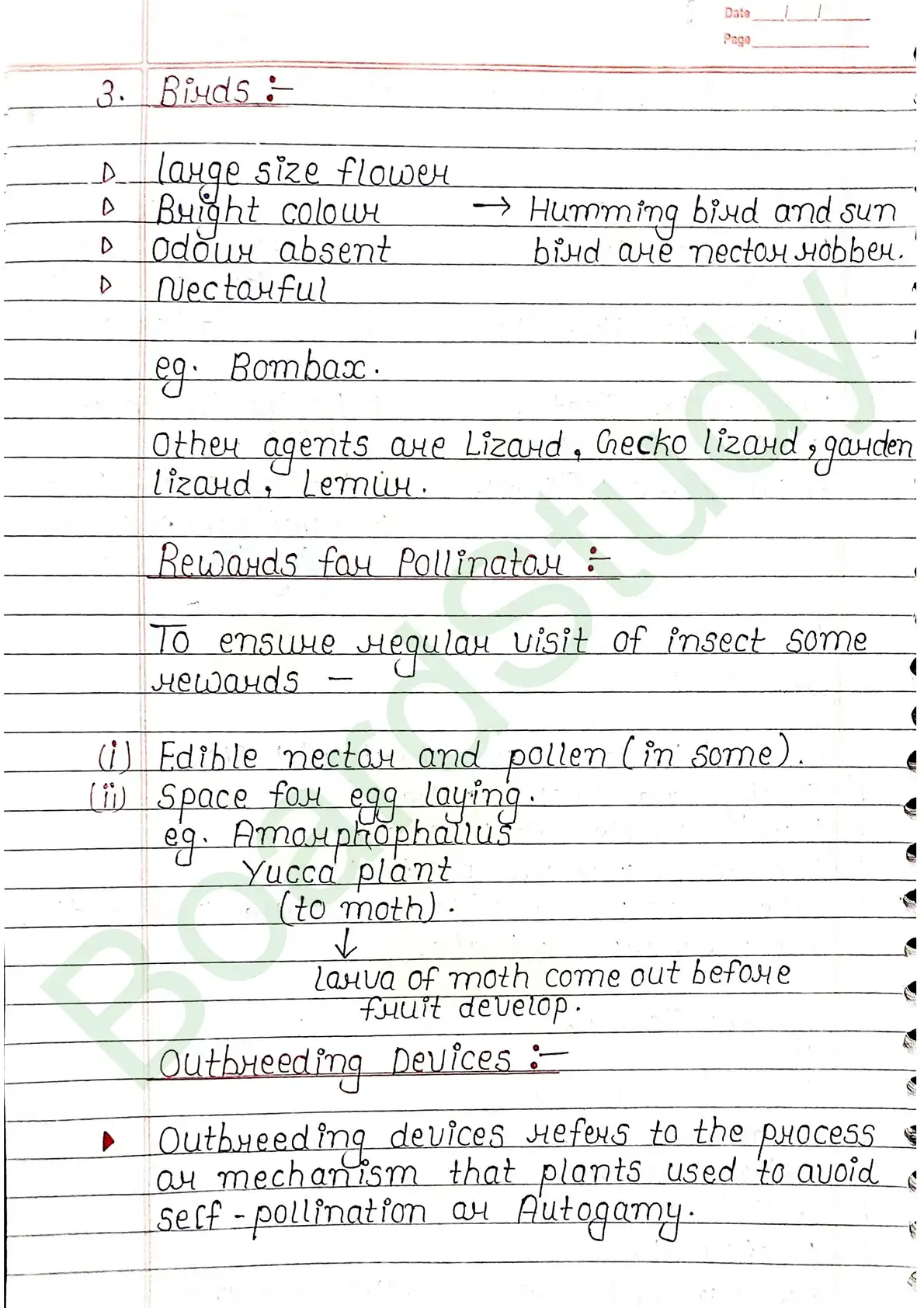 1. Sexual reproduction in flowering plants-13_page-0014