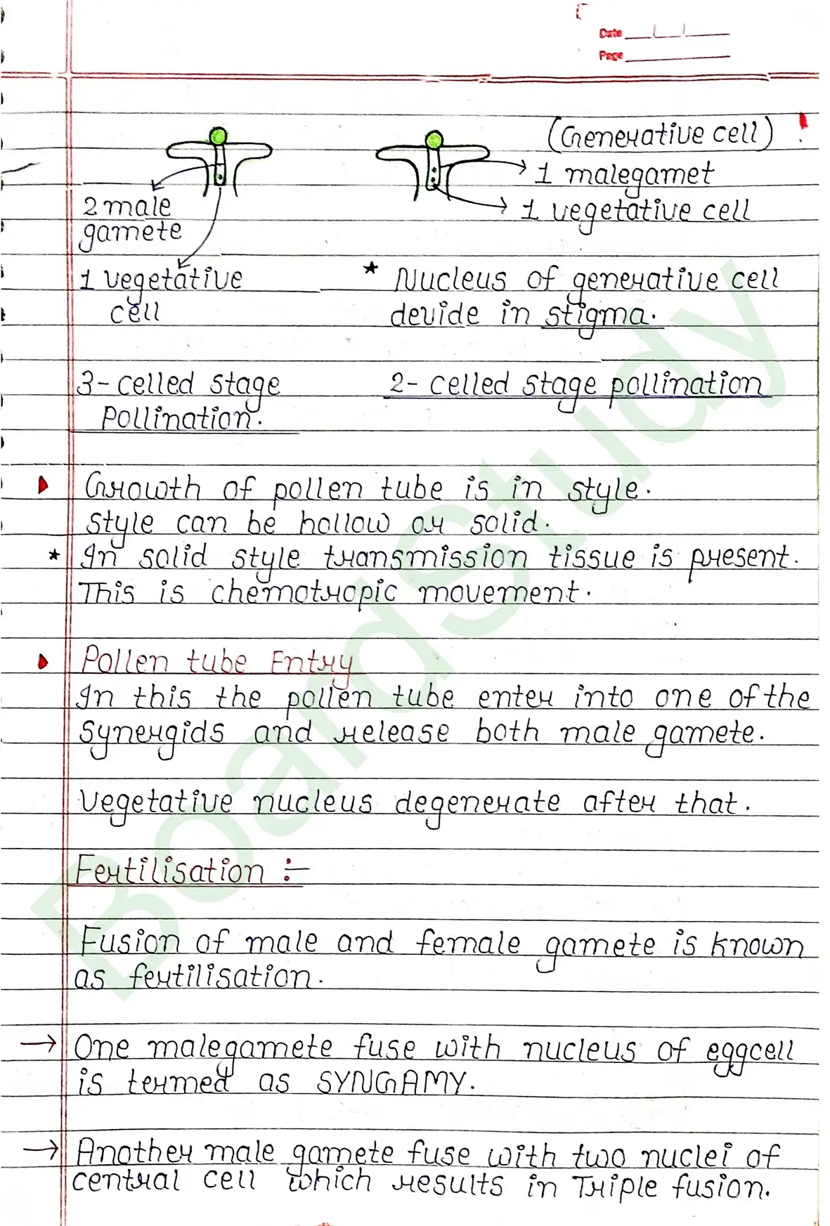 1. Sexual reproduction in flowering plants-13_page-0017
