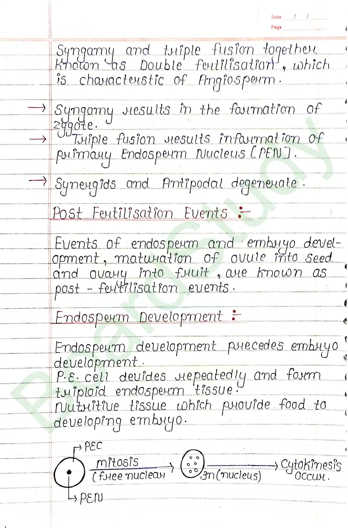 1. Sexual reproduction in flowering plants-13_page-0018