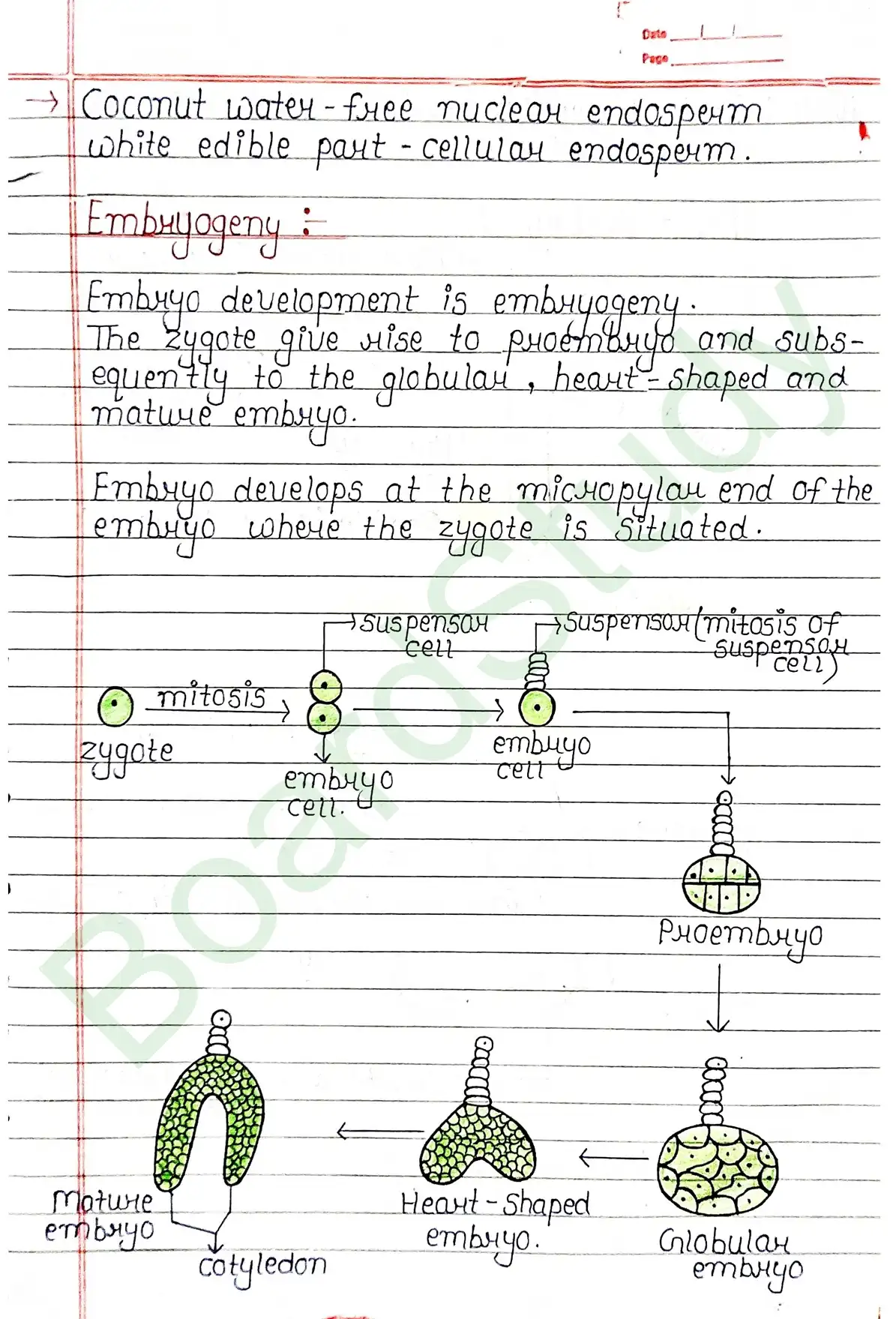 1. Sexual reproduction in flowering plants-13_page-0019
