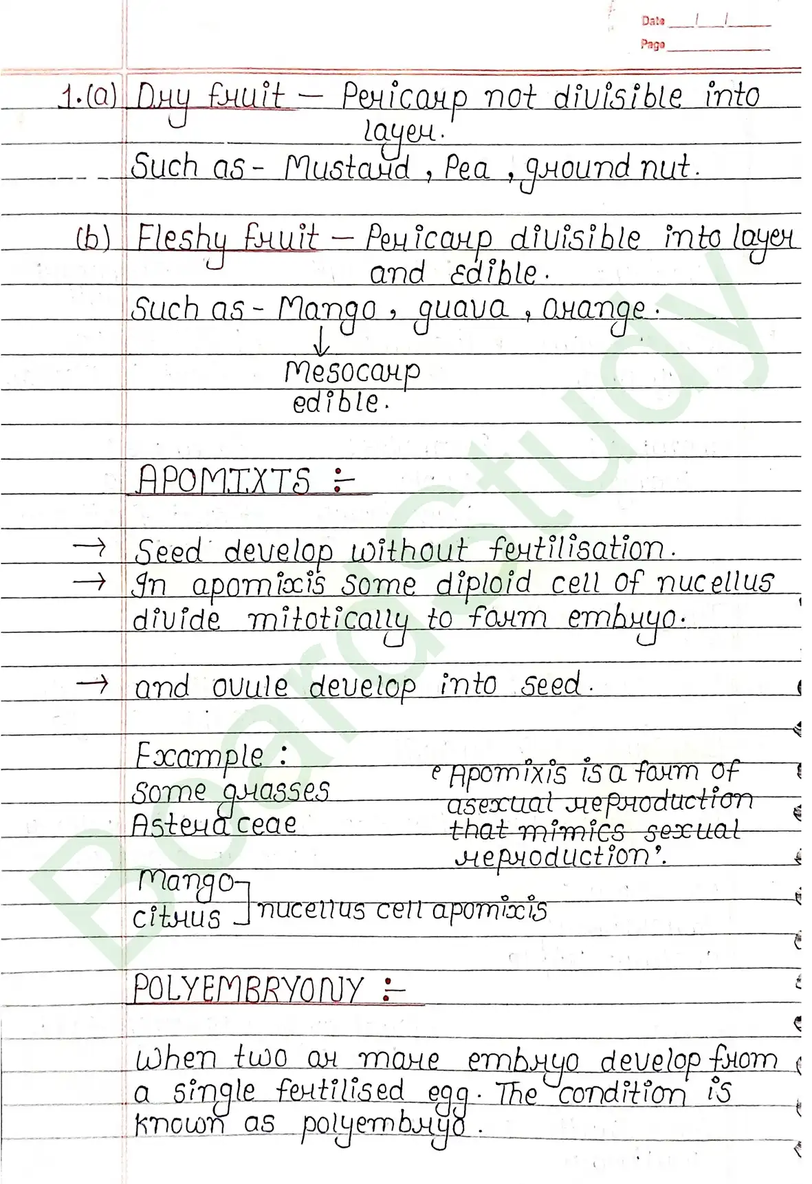 1. Sexual reproduction in flowering plants-13_page-0024