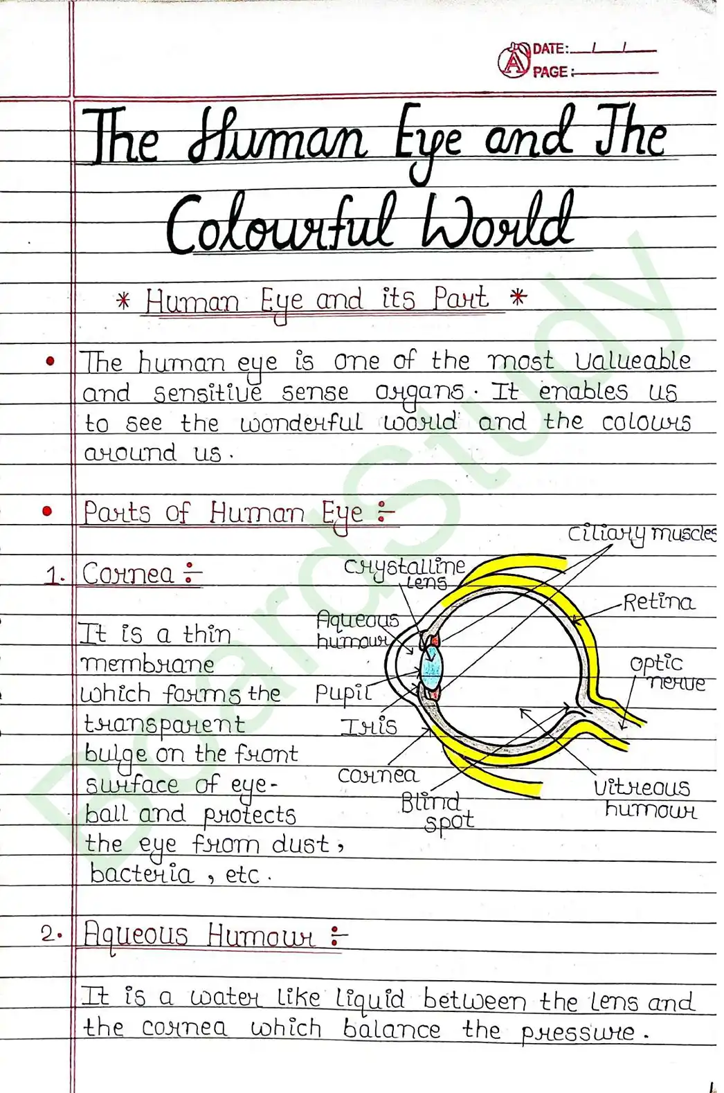 10. The Human Eye and The Colorful World_page-0001