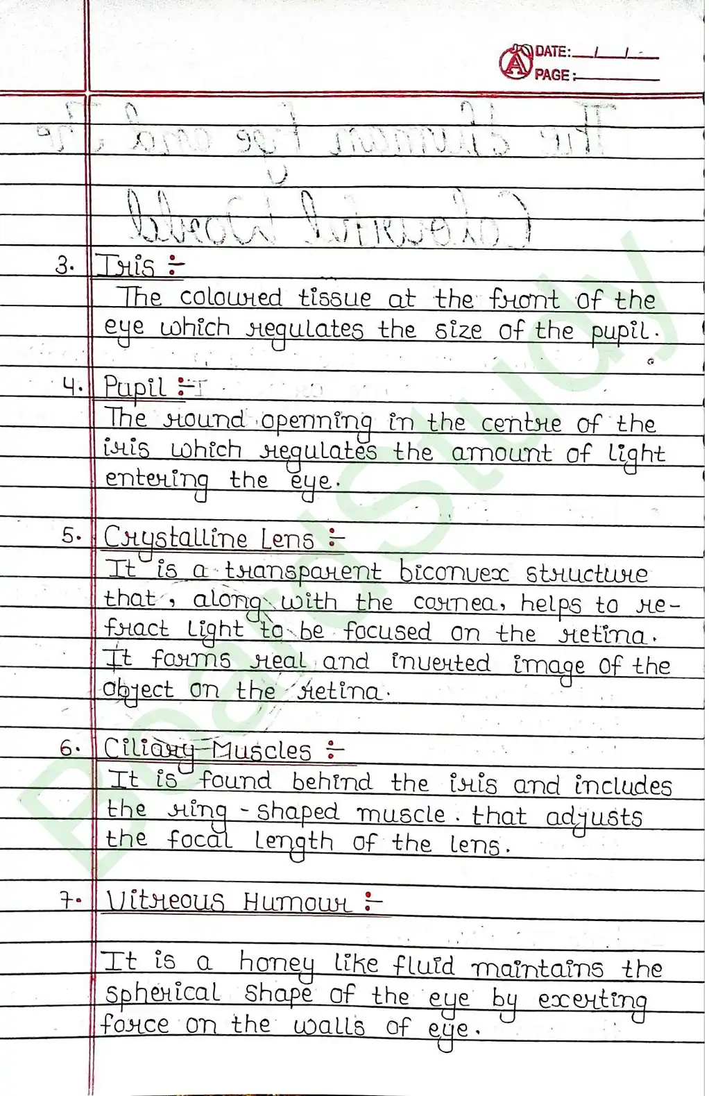 10. The Human Eye and The Colorful World_page-0002